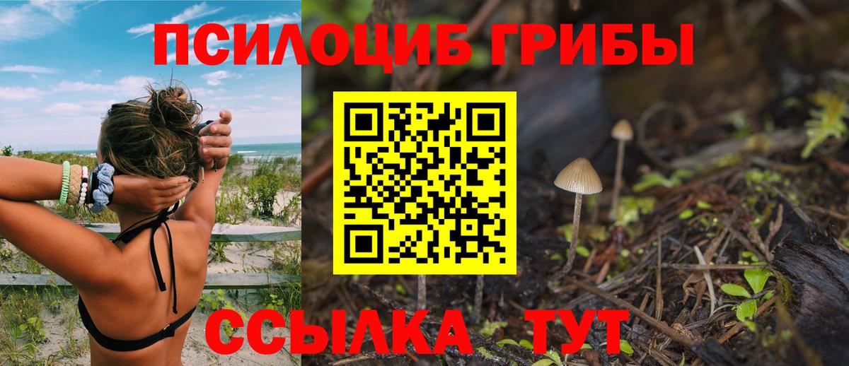 Будённовск  Псилоцибиновые грибы Psilocybe  Псилоцибиновые грибы GOLDEN TEACHER  Вход с VPN 